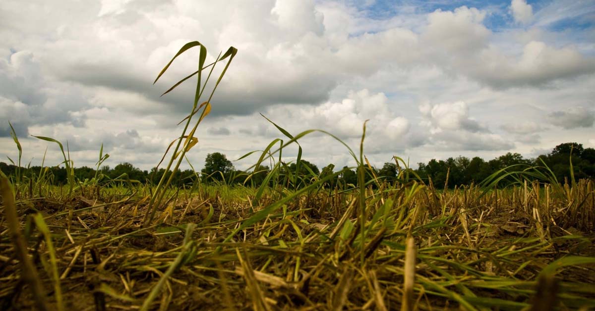MD Council Declares State of Agricultural Disaster